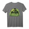 Marvel Infinity War We Have A Hulk Graphic T-Shirt - Official Licensed Marvel Fan Shirt