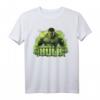 Marvel Infinity War We Have A Hulk Graphic T-Shirt - Official Licensed Marvel Fan Shirt