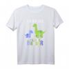 Ich Bin Der Kleine Bruder Dinosaurier T-Shirt - Perfektes Geschenk für kleine Brüder zu Weihnachten & Geburtstagen
