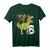 Geburtstags Dinosaurier T-Shirt für Jungen - Lustiges Rawr Ich Bin 6 Design mit Dinosaurier und Partyhut