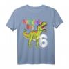 Geburtstags Dinosaurier T-Shirt für Jungen - Lustiges Rawr Ich Bin 6 Design mit Dinosaurier und Partyhut