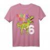 Geburtstags Dinosaurier T-Shirt für Jungen - Lustiges Rawr Ich Bin 6 Design mit Dinosaurier und Partyhut
