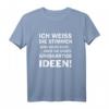 Ich weiß, die Stimmen sind Nicht echt Fun Spruch T-Shirt - Lustiges Geschenk für Kollegen & Freunde mit Humor
