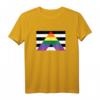 Pride Flag Shirt – Ally Pride Flagge T-Shirt für LGBTQ+ Unterstützung, Pride Parade & Pride Monat im Juni