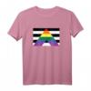 Pride Flag Shirt – Ally Pride Flagge T-Shirt für LGBTQ+ Unterstützung, Pride Parade & Pride Monat im Juni