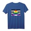 Pride Flag Shirt – Ally Pride Flagge T-Shirt für LGBTQ+ Unterstützung, Pride Parade & Pride Monat im Juni