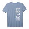 Geburtstagsdesign Limited Edition Vintage 1973 T-Shirt - Perfektes Geschenk für Geborene 1973, Freunde & Familie